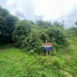 久留米市上津町 売地 43坪